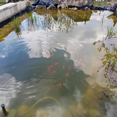 Habitación en casa particular Eszter-lak Monostorapáti