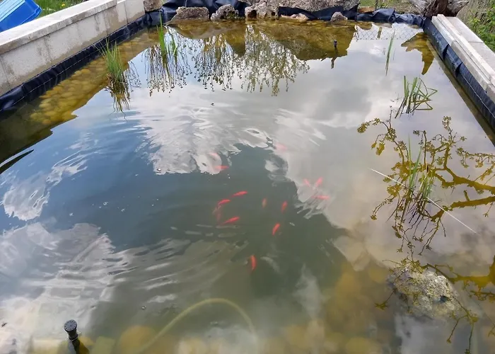 Kwatera prywatna Eszter-lak Monostorapáti