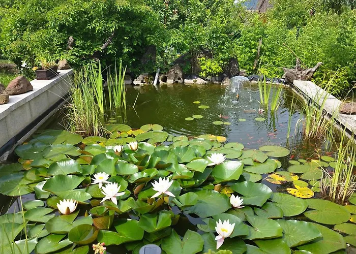 Eszter-lak Séjour chez l'habitant *